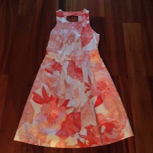 Never worn, beautiful spring dress!